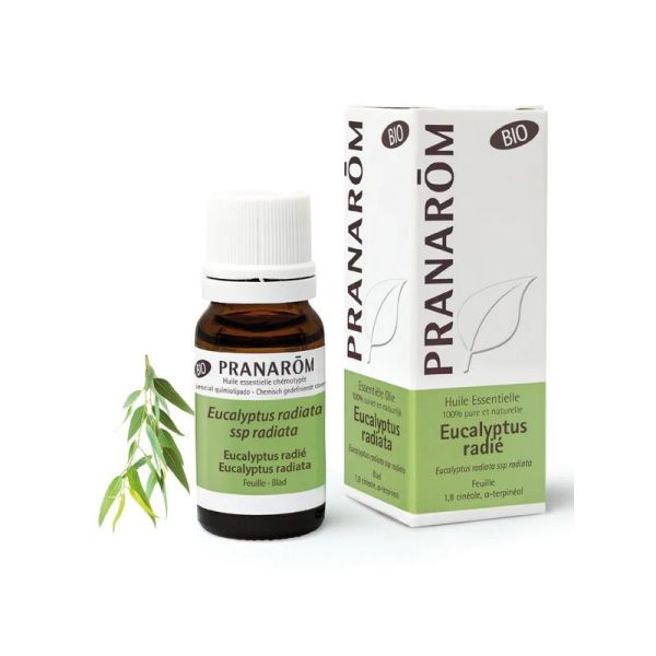 Pranarom Hle Ess Bio Eucalypt Radié Fl/10Ml