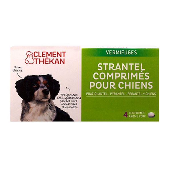 Clem/Thek Strantel Chien Cpr 4