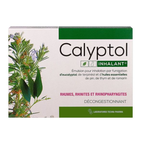 Calyptol Inhalant Amp5Ml 10